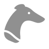 سگ دوانی